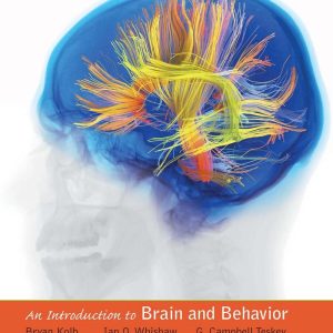 Introduction to Brain and Behavior 5th Edition