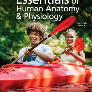 Essentials of Human Anatomy & Physiology 13th Edition