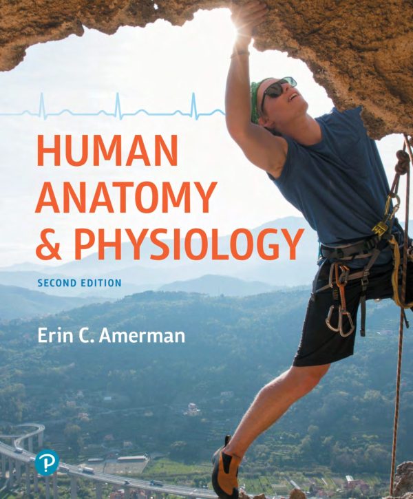 Human Anatomy & Physiology 2nd Edition