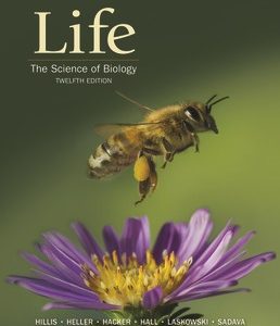 Life The Science of Biology 12th Edition