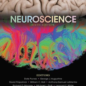 Neuroscience 6th Edition