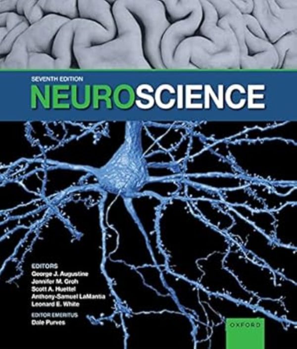 Neuroscience 7th Edition